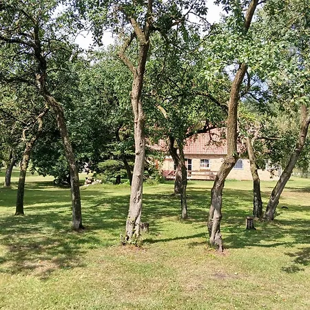 בית נופש Ferienhaus Dobbin